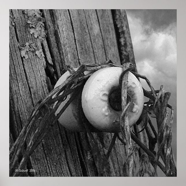 Póster Relic (Frente)