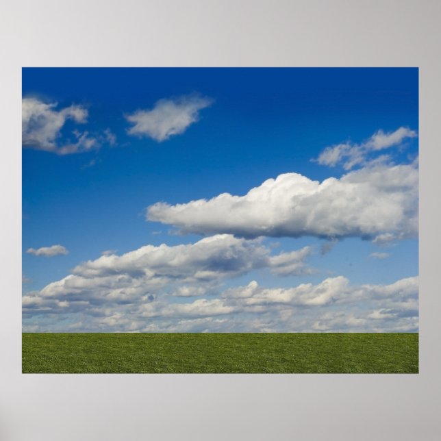 Póster relleno verde, cielo azul, nube blanca (Frente)