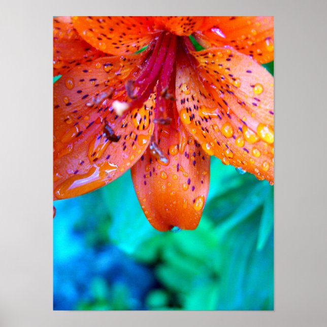 Póster remains of summer rain (Frente)