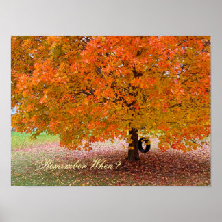 Póster Remember When?