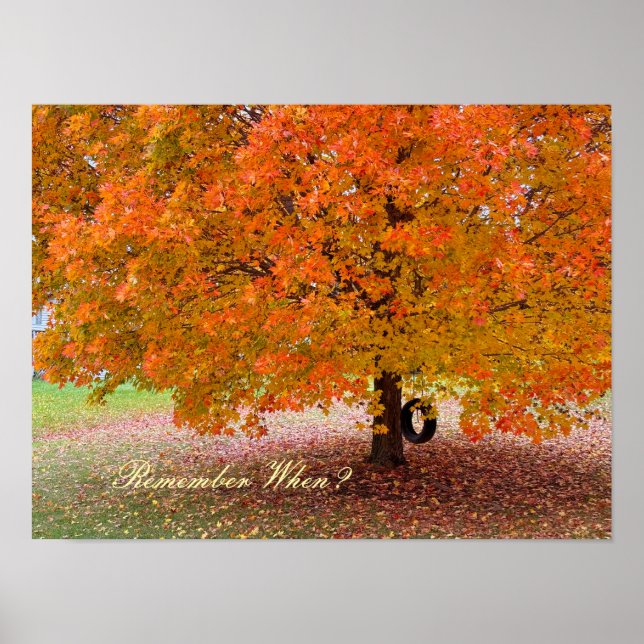 Póster Remember When? (Frente)
