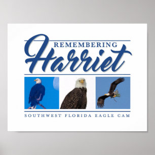 Póster Remembering Harriet SWFL Eagle Cam Wall Poster