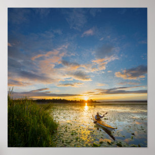 Póster Remero masculino remando kayak marino en aguas tra