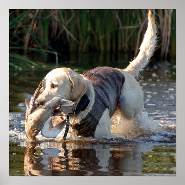 Póster Remington (Frente)