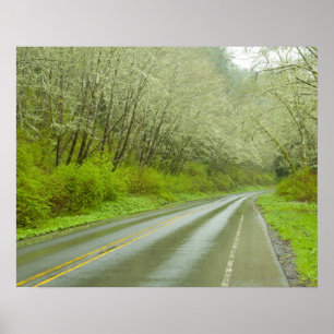 Póster Remote highway through forest