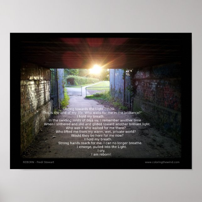 Póster Renacido por Fredi Stewart (Frente)
