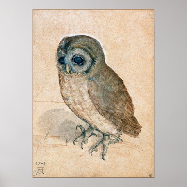 PÓSTER RENAISSANTE DIBUJOS ANIMALES / EL OWL (Frente)