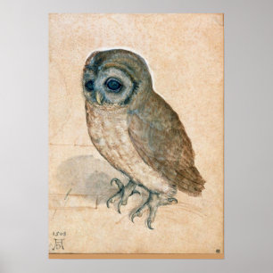 PÓSTER RENAISSANTE DIBUJOS ANIMALES / EL OWL