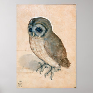 PÓSTER RENAISSANTE DIBUJOS ANIMALES / EL OWL