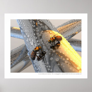 Póster Rencontre del La - la reunión (versión de oro)