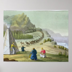Póster Reno de rebaño, Laponia, plato 47 de Le Costu