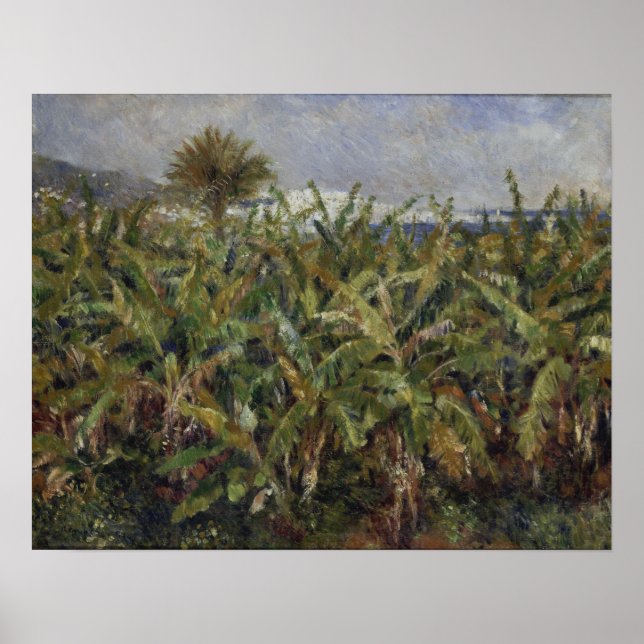Póster Renoir - Campo De Árboles Bananeros (Frente)