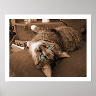 Póster Reposar en testamento