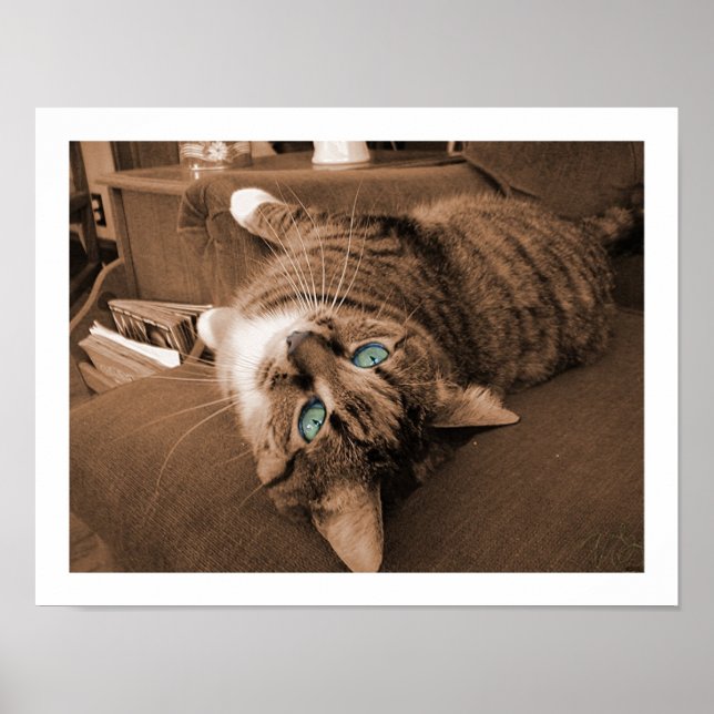 Póster Reposar en testamento (Frente)