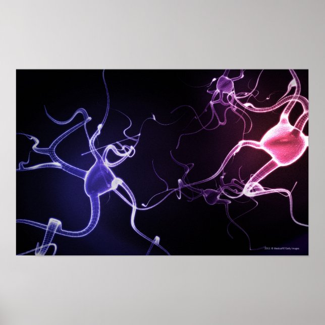 Póster Representación colorida de las neuronas (Frente)