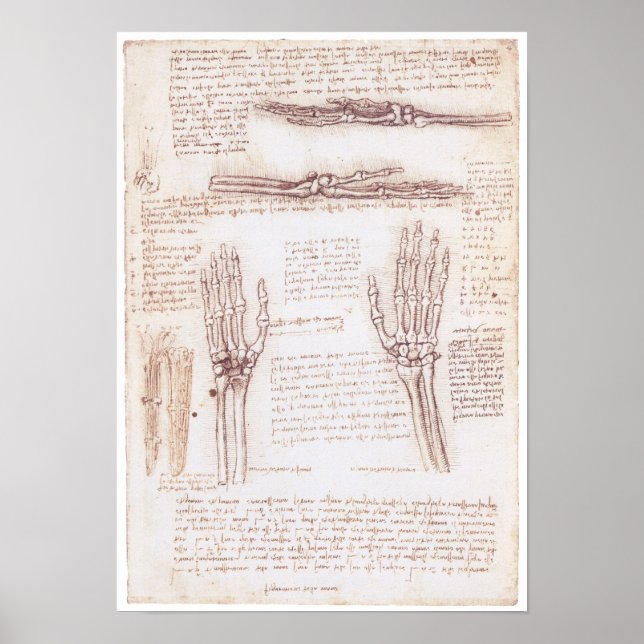 Póster Representación de la mano, Leonardo da Vinci (Frente)