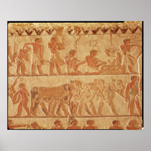 Póster Representación pintada del alivio