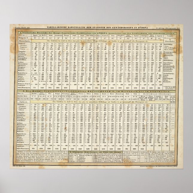 Póster representación tabular de las estadísticas (Frente)