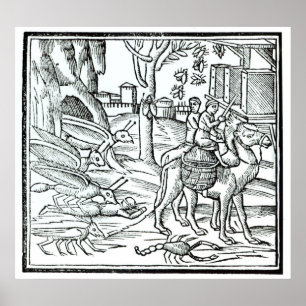 Póster Representation of the Plague, 1572