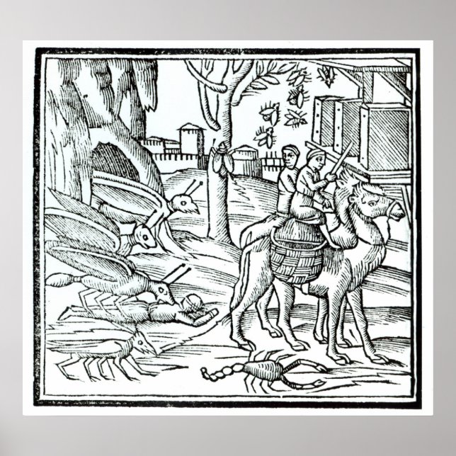 Póster Representation of the Plague, 1572 (Frente)