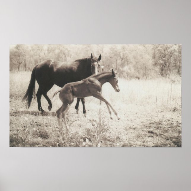 Póster Reproducción de puntos (Frente)