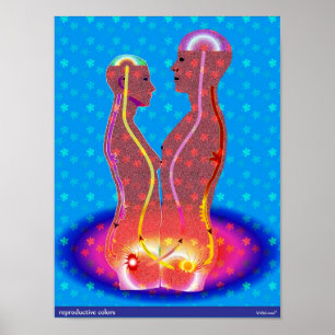 Póster Reproductive Colors