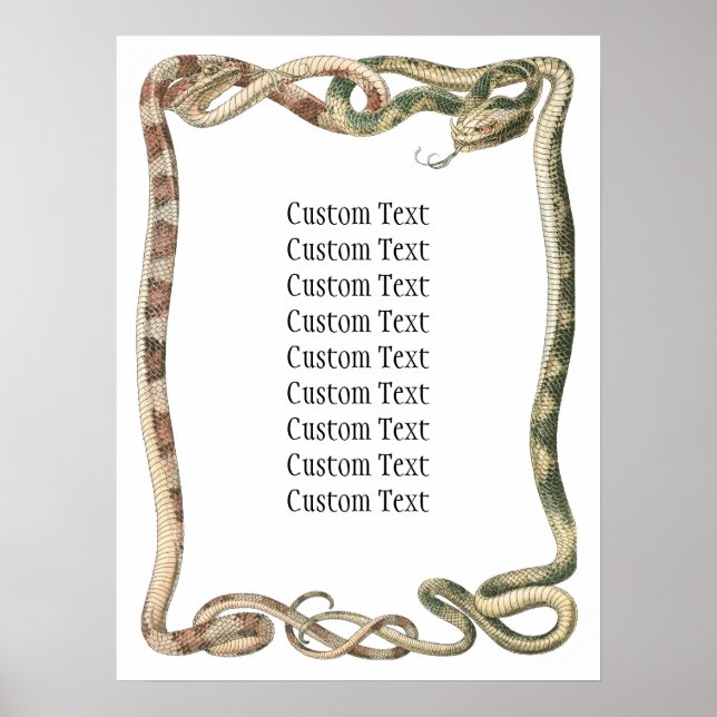 Póster Reptiles Antiguos, Serpientes o Víboras Entrelazad (Frente)