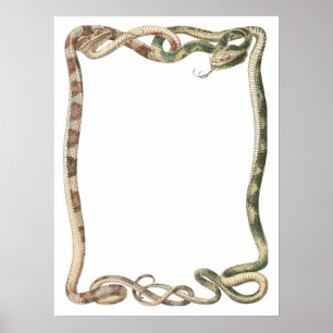 Póster Reptiles Antiguos, Serpientes o Víboras Entrelazad
