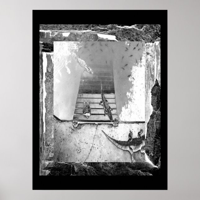 Póster Reptiles Basking (Frente)