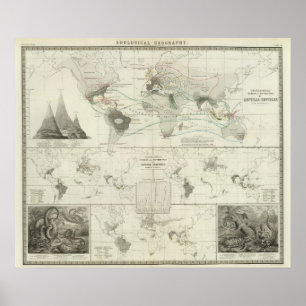 Póster Reptilia, Ophidia