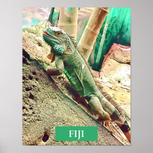 Póster Reptis fijian iguana