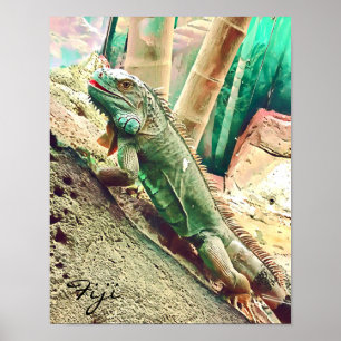 Póster Reptis fijian iguana