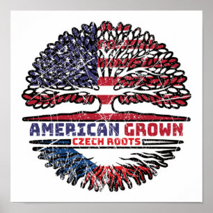 Póster República Checa Estados Unidos Estados Unidos