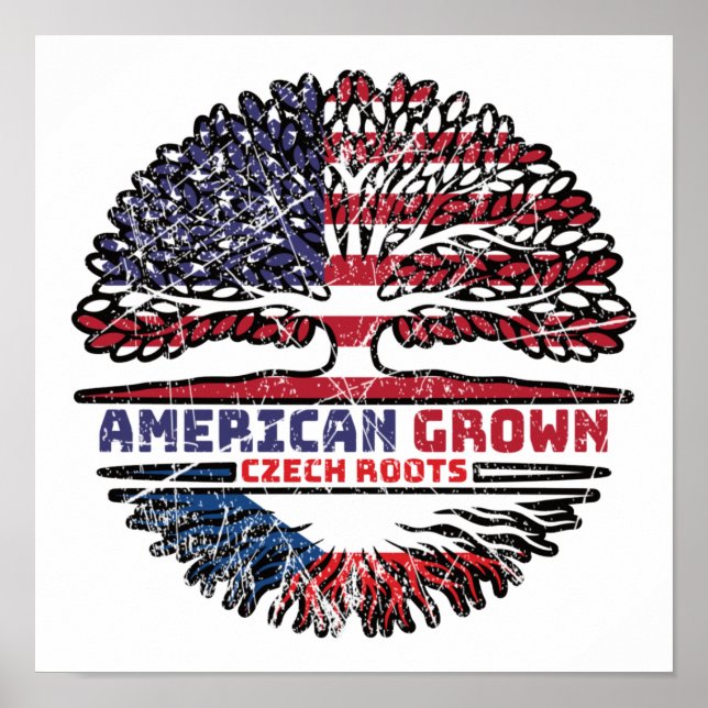 Póster República Checa Estados Unidos Estados Unidos (Frente)