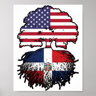 Póster República Dominicana Estados Unidos
