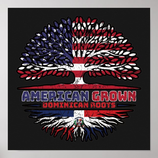 Póster República Dominicana Estados Unidos Estados Unidos (Frente)
