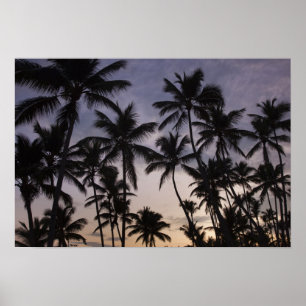 Póster República Dominicana, Península de Samana, Las 2