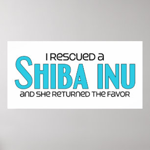 Póster Rescaté a un chiba inu (perro hembra)