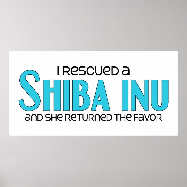Póster Rescaté a un chiba inu (perro hembra) (Frente)