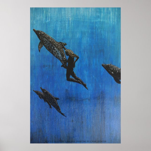 Póster Rescate de delfines (Frente)