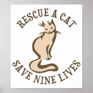 Póster Rescate De Un Gato Salva Nueve Vidas
