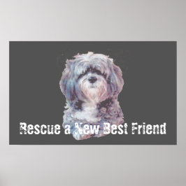 Póster Rescue Dog Poster