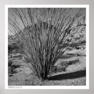 Póster Reserva de la historia natural de Hastings