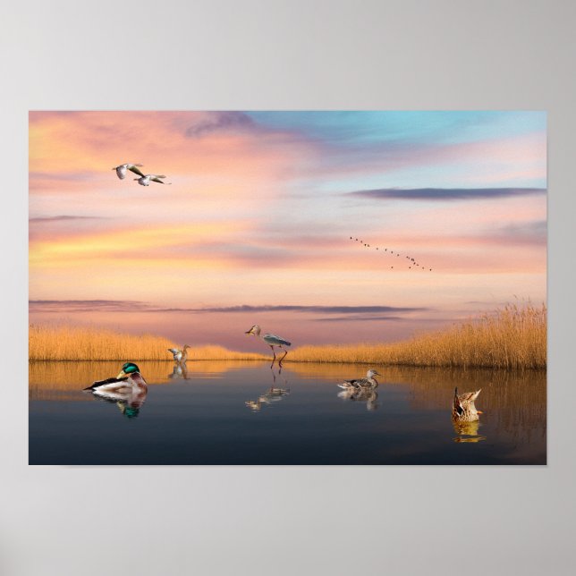 Póster Reserva de vida silvestre (Frente)