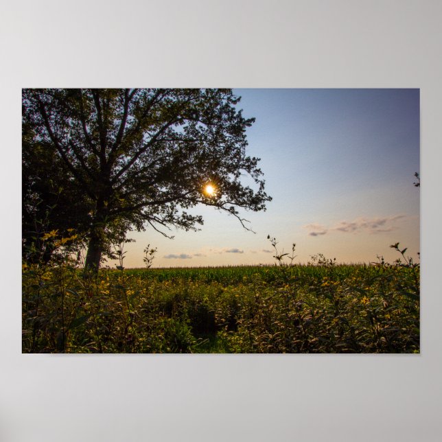Póster Reserva Estatal del Cementerio de Bigelow, Ohio (Frente)