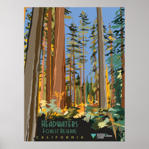 Póster Reserva forestal