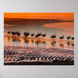 Póster Reserva Nacional de la Fauna Andina Eduardo Abaroa