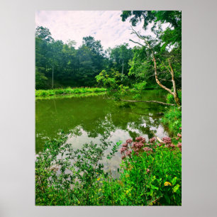 PÓSTER RESERVA NATURAL DE ITHACA NUEVA YORK