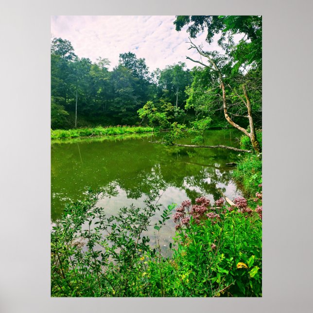 PÓSTER RESERVA NATURAL DE ITHACA NUEVA YORK (Frente)