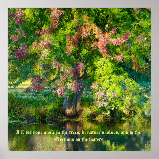 Póster Reserva natural de SkyRidge